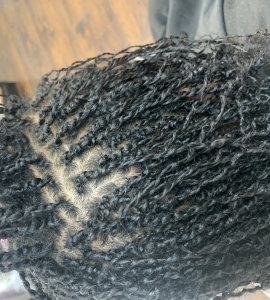 Micro Braids for Locsbyjvzz